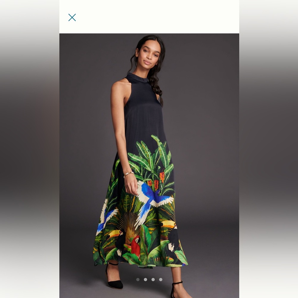 Farm Rio Thea Maxi Dress Small